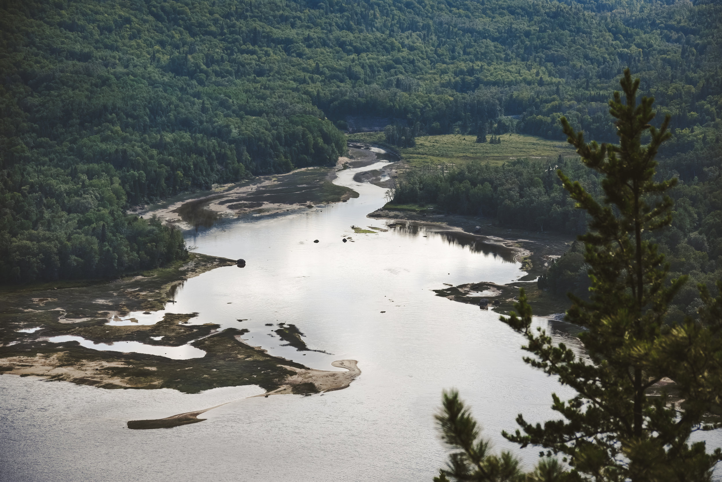 DEC Remands Palmer Project Wastewater Permit!